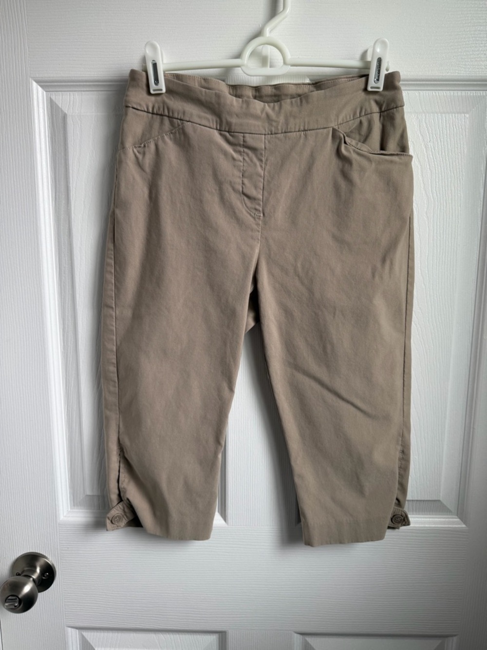 Coconut Row Palm Beach pull-on Bermuda petite shorts